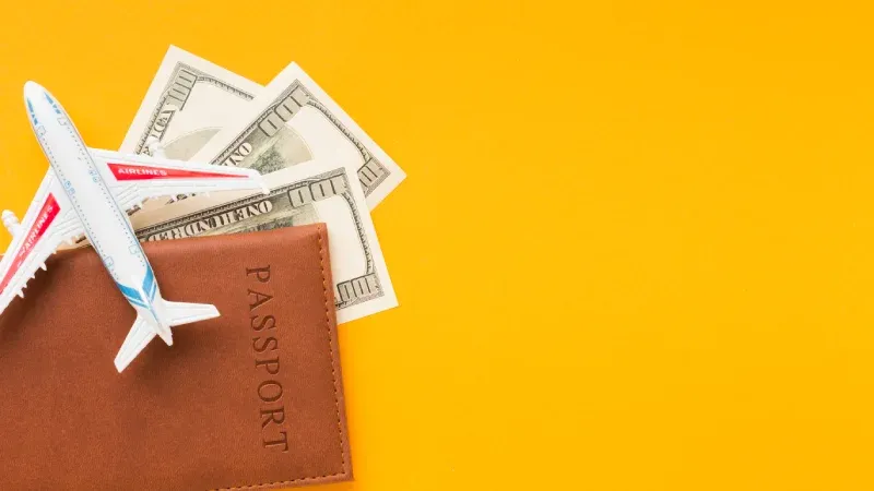 How NRIs Can Repatriate Money from India